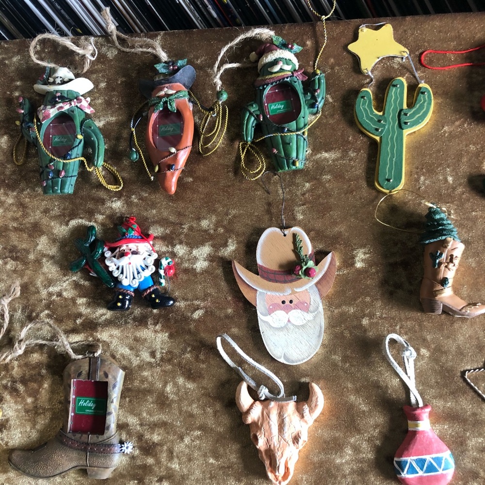 Southwestern Christmas Ornaments - Lot of 21